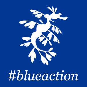Blue Action ロゴ
